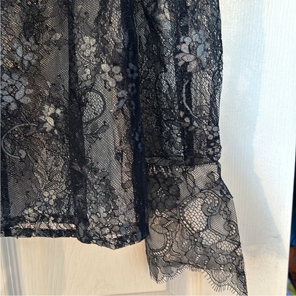 Maeve Anthropologie XS Blouse Lace Sheer Metallic Long Sleeve Button Down NWT - Picture 9 of 13